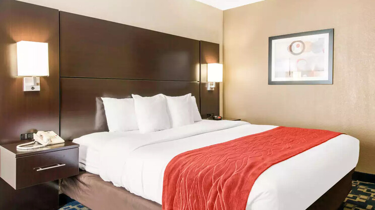 Comfort Inn & Suites Near Universal Orlando Resort-convention Ctr.